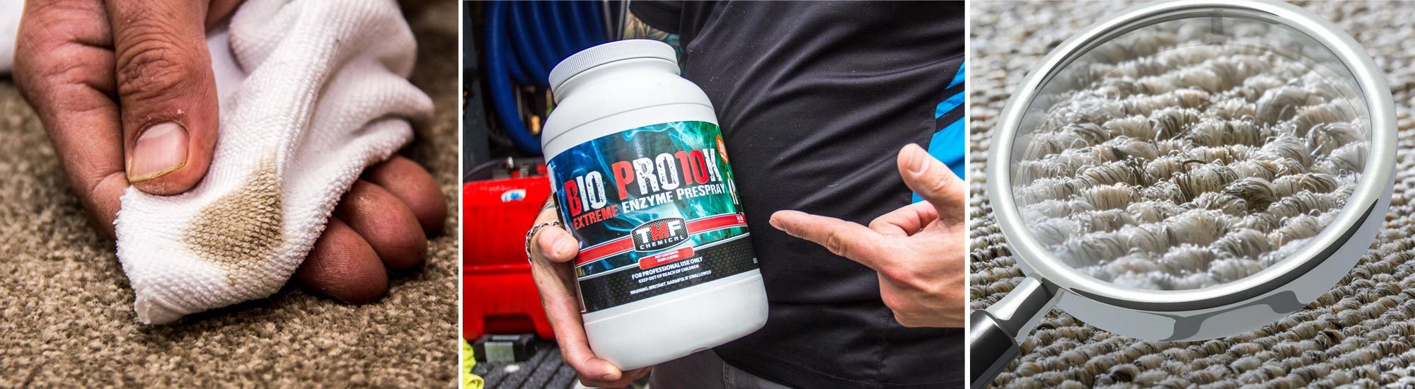 Carpet Stain Removal Christchurch Cleaning Pet Stains NZ