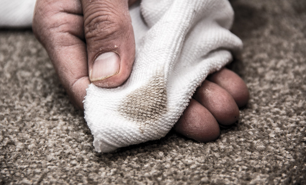 Carpet Stain Removal Christchurch Cleaning Pet Stains NZ